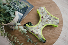 Load image into Gallery viewer, Adjustable dog harness with cute floral pattern by FROG DOG CO.