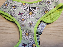 Load image into Gallery viewer, Limited stock - SECONDS - Adjustable Dog Harness - Various prints