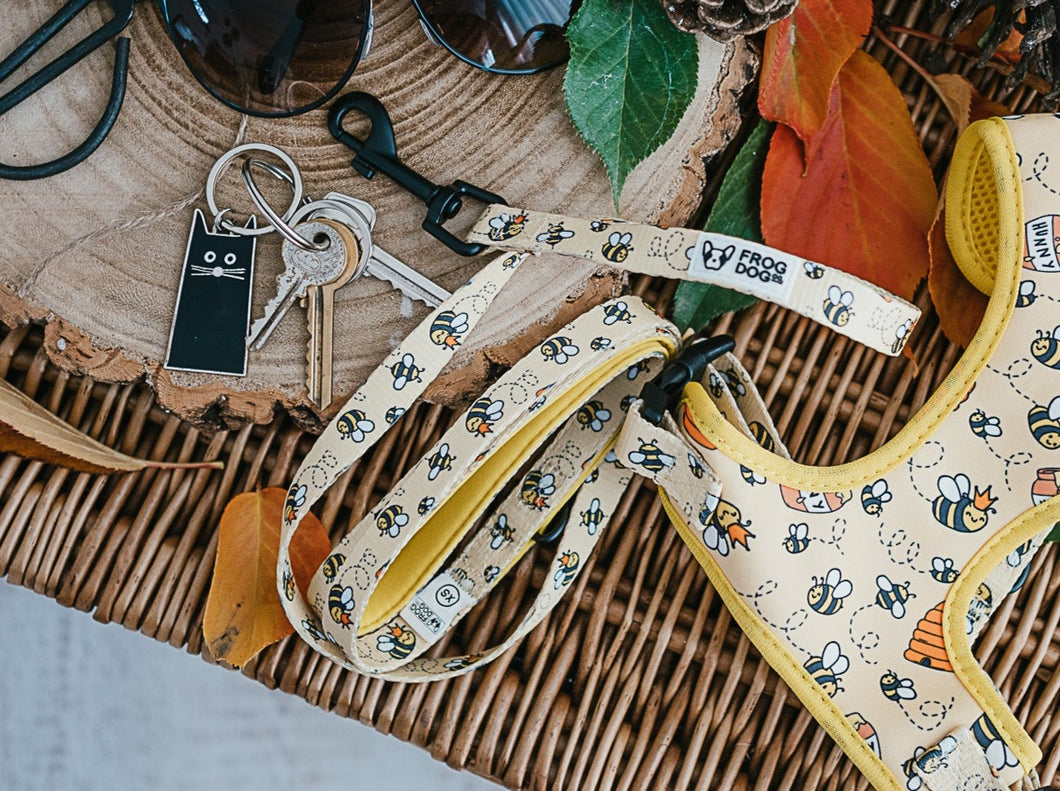 Comfy-Wear Lead - Bee Kind - FROG DOG CO.