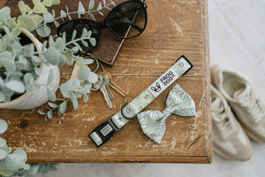 Bow Tie - Daisy Days - FROG DOG CO.