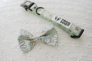 Bow Tie - Daisy Days - FROG DOG CO.