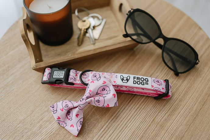 Bow Tie - Piggy Passion - FROG DOG CO.