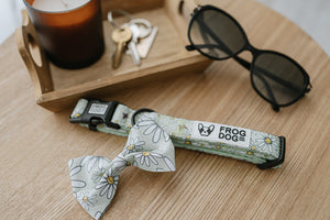 Bow Tie - Daisy Days - FROG DOG CO.