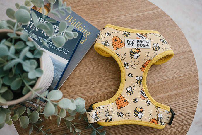 Adjustable dog harness with cute bees pattern by FROG DOG CO.