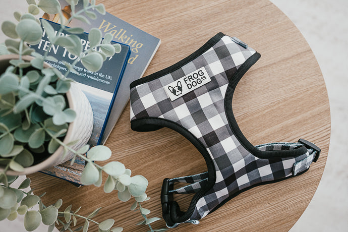 Adjustable dog harness with check pattern by FROG DOG CO.