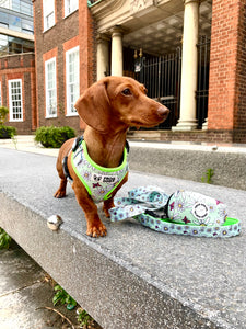 Matching leads and collars with floral pattern by FROG DOG CO.