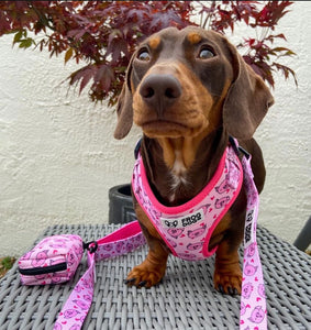 Matching leads and collars with pig pattern by FROG DOG CO.